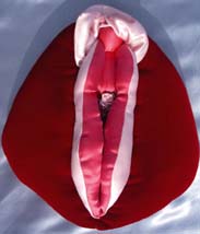 Vulva Puppet - that's vulva, not vagina